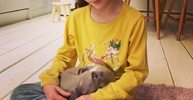 Reduce the risk of leg breaks in Italian Greyhound puppies by sitting on the floor to have a cuddle with them