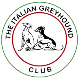 The Italian Greyhound Club UK